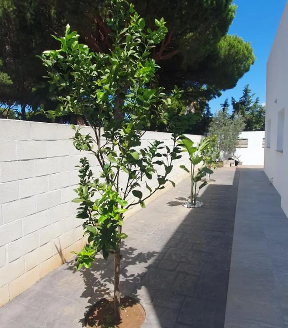 Vakantiehuis Villa Cristal Chiclana de la Frontera Spanje